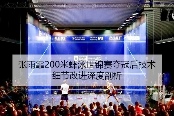 zhang-yu-fei-mi-die-yong-shi-jin-sai-duo-guan-hou-ji-shu-xi-jie-gai-jin-shen-du-pou-xi-2-906.jpg