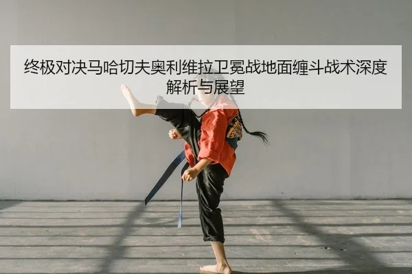 zhong-ji-dui-jue-ma-ha-qie-fu-ao-li-wei-la-wei-mian-zhan-di-mian-chan-dou-zhan-shu-shen-du-jie-xi-yu-zhan-wang-2-660.jpg